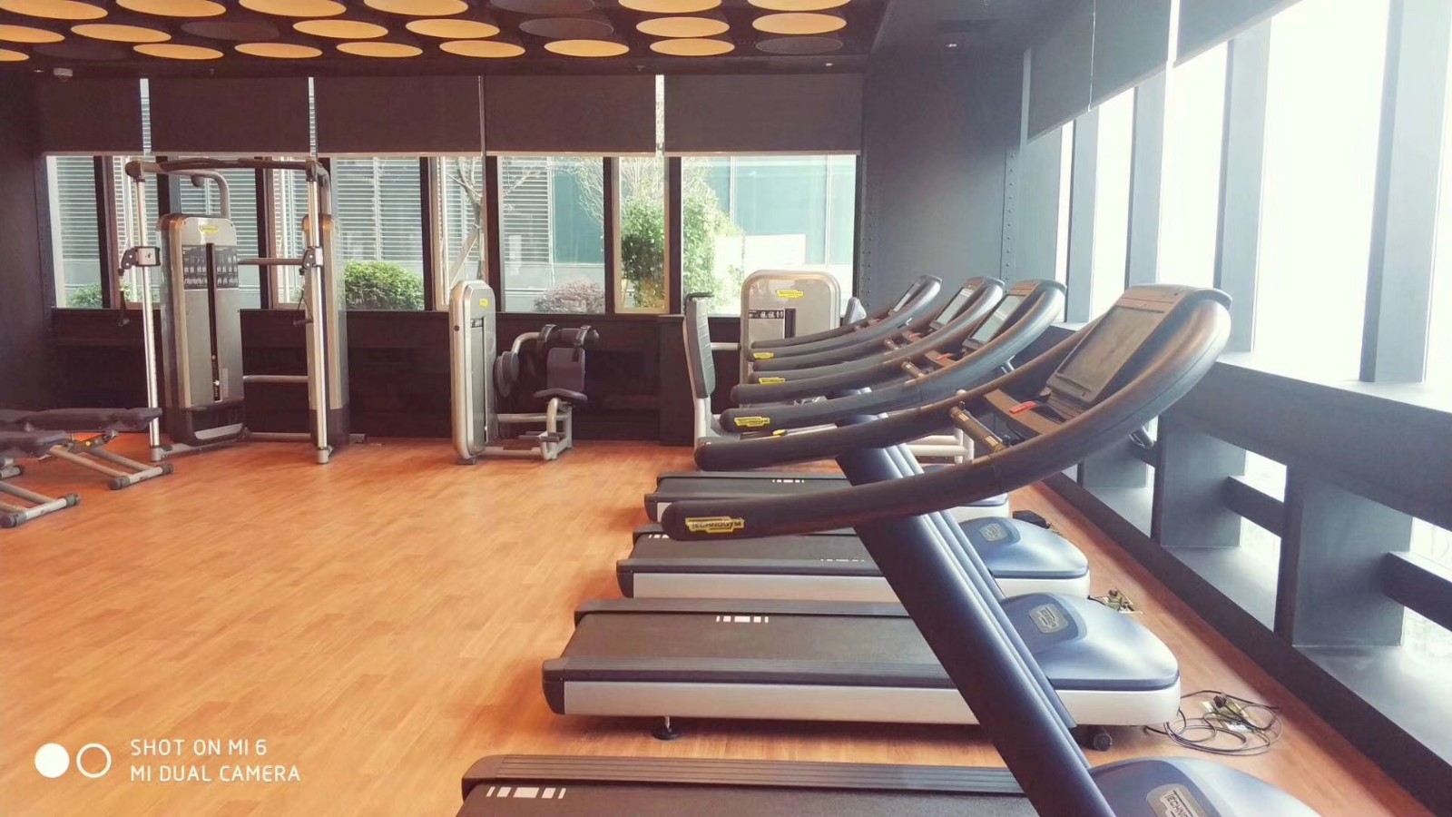 我们又有了一个新的合作伙伴：泰诺健Technogym